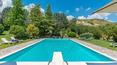 Toscana Immobiliare - Il giardino che circonda la proprietà ospita una splendida piscina