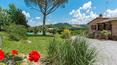 Toscana Immobiliare - Il casale è circondato dalla verdeggiante campagna toscana delle Crete Senesi