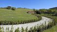 Toscana Immobiliare - Country house for sale in Umbria città di Castello Perugia