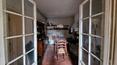 Toscana Immobiliare -  Villa Leopoldina con anexos en venta en Arezzo
