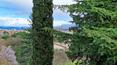 Toscana Immobiliare - La villa Leopoldina di epoca ottocentesca è circondata da un vasto terreno