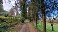 Toscana Immobiliare -  The 19th-century Leopoldina villa is surrounded by a large plot of land