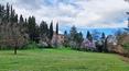 Toscana Immobiliare -  Splendida villa Leopoldina immersa nella campagna toscana