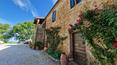 Toscana Immobiliare - The main farmhouse is currently divided into three residential units