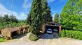 Toscana Immobiliare - Se accede a la propiedad a través de una espectacular avenida de cipreses