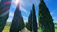 Toscana Immobiliare - La proprietà è raggiungibile tramite uno spettacolare viale di cipressi