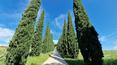 Toscana Immobiliare - The property is accessible via a spectacular cypress-lined avenue