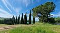 Toscana Immobiliare - On accède à la propriété par une spectaculaire avenue bordée de cyprès