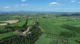 Toscana Immobiliare - Proprietà con vigneto e oliveto in vendita in Toscana