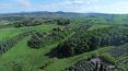 Toscana Immobiliare - Estate with 6 farmhouses, 1 villa, 47 bedrooms, 108 ha of land, vineyards, wine cellar and olive grove