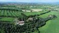 Toscana Immobiliare - Tenuta con 6 casali, 1 villa, 47 camere da letto, 108 ha di terreno, vigneti, cantina di vinificazione e oliveto
