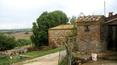 Toscana Immobiliare - Zu restaurierendes Bauernhaus, umgeben von ca. 96 Hektar Land, in der Provinz Siena zu verkaufen