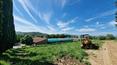 Toscana Immobiliare - Azienda agricola con 40 ettari di terreno vendita  Toscana Montalcino