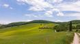 Toscana Immobiliare - Azienda agricola biologica con due casali, una dépendance, capannoni agricoli e 145 ha di terreno in vendita in Toscana