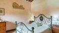 Toscana Immobiliare - Biobauernhof in Pienza, Toskana, zu verkaufen