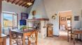 Toscana Immobiliare - The swimming pool is surrounded by a park of approximately 1,000 square metres, completely fenced off and for the exclusive use of guests