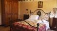 Toscana Immobiliare - The swimming pool is surrounded by a park of approximately 1,000 square metres, completely fenced off and for the exclusive use of guests