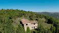 Toscana Immobiliare -  Casale in pietra di 300 mq con 4000 mq di terreno in vendita a Città di Castello, in Umbria