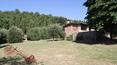 Toscana Immobiliare - Il casale è situato in una posizione molto tranquilla e con ottima esposizione al sole