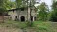 Toscana Immobiliare - Stone farmhouse for sale in Umbria