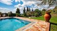 Toscana Immobiliare - Farmhouse with swimming pool, park and olive grove for sale in Tuscany
