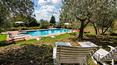 Toscana Immobiliare - Recently renovated farmhouse with swimming pool for sale in Tuscany