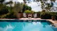 Toscana Immobiliare - La proprietà è circondata da un parco con piante ornamentali che ospita una splendida piscina con vista sulle colline
