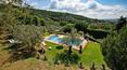 Toscana Immobiliare - Farmhouse with swimming pool, park and olive grove for sale in Tuscany