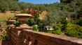 Toscana Immobiliare - The property is surrounded by a park with ornamental plants and a beautiful swimming pool with views of the hills