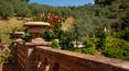 Toscana Immobiliare - The property is surrounded by a park with ornamental plants and a beautiful swimming pool with views of the hills