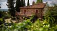 Toscana Immobiliare - Casale con piscina, parco e uliveto in vendita in Toscana