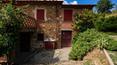 Toscana Immobiliare - Agritourisme avec piscine, parc et oliveraie à vendre en Toscane