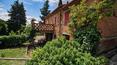 Toscana Immobiliare - Bauernhaus mit Schwimmbad, Park und Olivenhain in der Toskana zu verkaufen