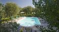 Toscana Immobiliare - Swimming pool