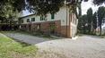 Toscana Immobiliare - The farmhouse is immersed in a private park