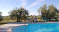 Toscana Immobiliare - The property is completed by a swimming pool with a Roman staircase