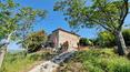 Toscana Immobiliare - Real estate with land for sale in Siena, Tuscany
