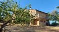 Toscana Immobiliare - The property is surrounded by 1.5 hectares of land
