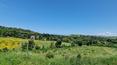 Toscana Immobiliare - The buildings are surrounded by large terraces and a large garden area with oaks and holm oaks