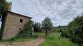 Toscana Immobiliare - The property for sale is part of a large 7-hectare estate
