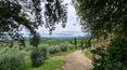 Toscana Immobiliare - La proprietà in vendita si inserisce all'interno di una vasta tenuta di 7 ettari