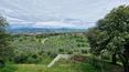 Toscana Immobiliare - The property boasts an important surface area of 1,600 sqm