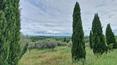 Toscana Immobiliare - Property complex for sale in Tuscany