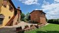 Toscana Immobiliare - Villa con dépendance e giardino in vendita a Foiano della Chiana