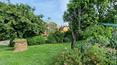 Toscana Immobiliare - Repräsentative renovierte Villa mit Nebengebäude, 5000 qm Garten mit Olivenhain und Garage in der Toskana zu verkaufen