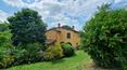 Toscana Immobiliare - Prestigiosa villa renovada con anexo, jardín de 5000 m2 con olivar y garaje en venta en Toscana
