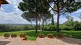 Toscana Immobiliare - La bella villa gode di una bella vista sulla campagna toscana e di assoluta privacy