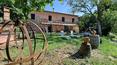 Toscana Immobiliare - Property with holiday farm, swimming pool, vineyard and olive grove for sale in Sinalunga, in the province of Siena, Tuscany.