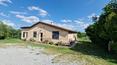 Toscana Immobiliare - Podere con agriturismo e vigneto in vendita a Sinalunga Siena