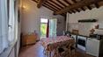 Toscana Immobiliare - Property with holiday farm and vineyard for sale in Sinalunga Tuscany